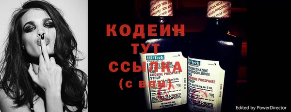 хмурый Арсеньев